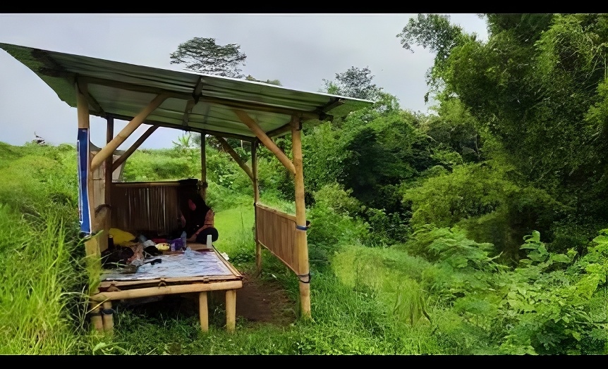 Tanah kebun dengan pohon kelapa